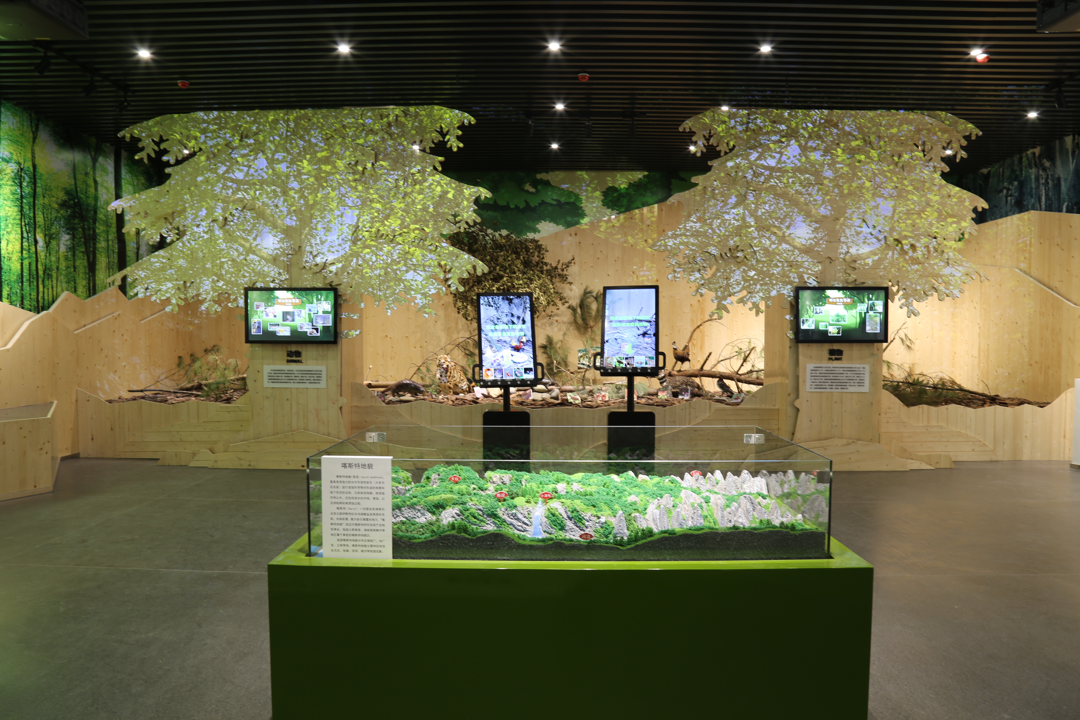 ����ӡ�������ض�������չ����