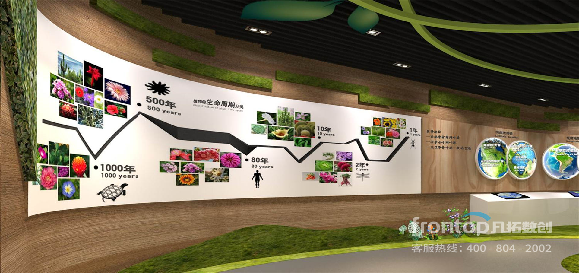 ���ϳ�������ֲ��԰����չ�����