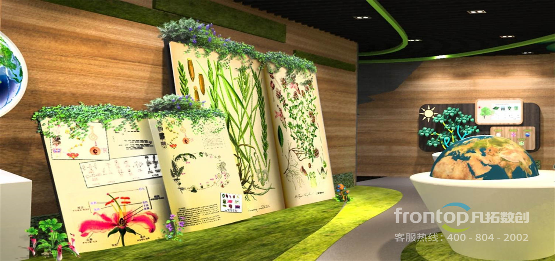 ���ϳ�������ֲ��԰����չ�����