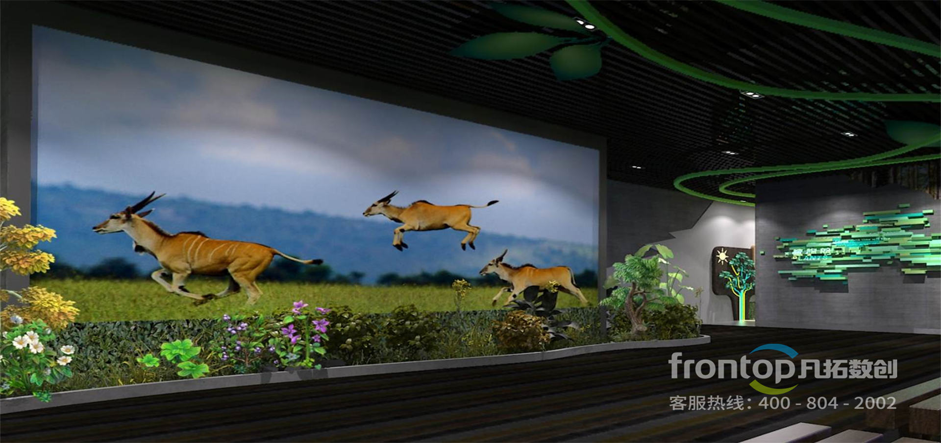 ���ϳ�������ֲ��԰����չ�����