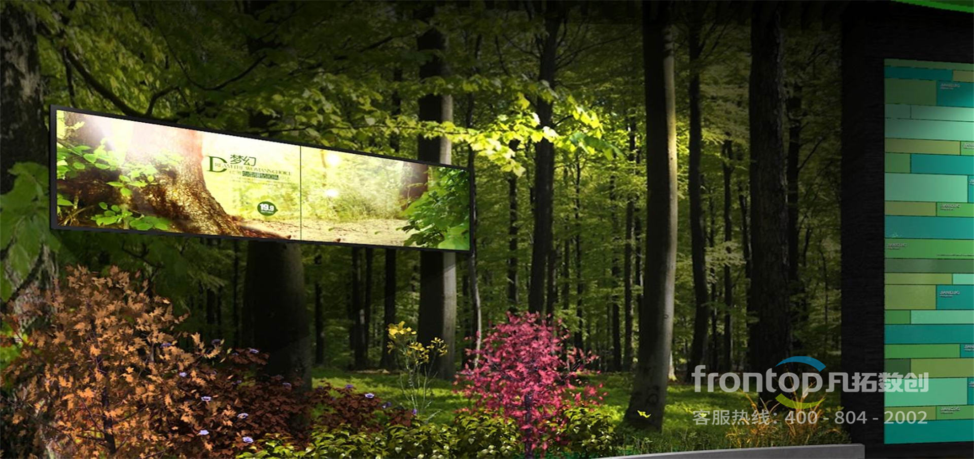 ���ϳ�������ֲ��԰����չ�����