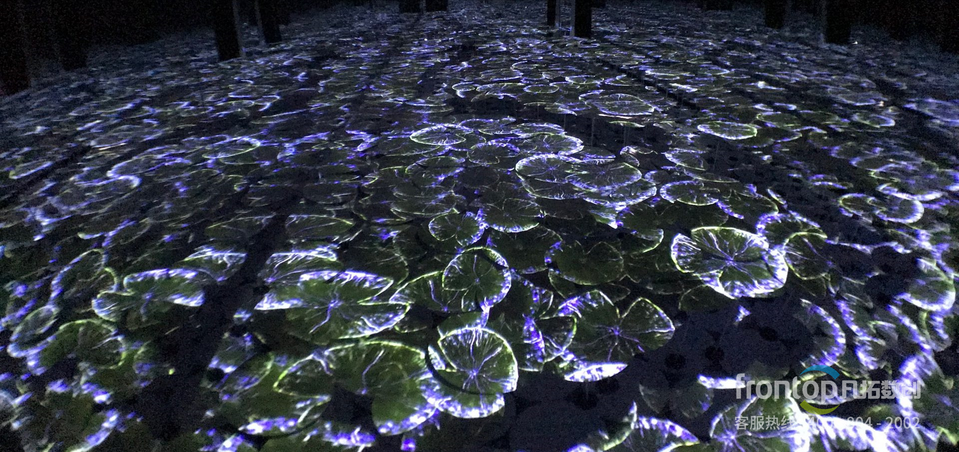 ����ɽ�������ƺ�������ɫС��