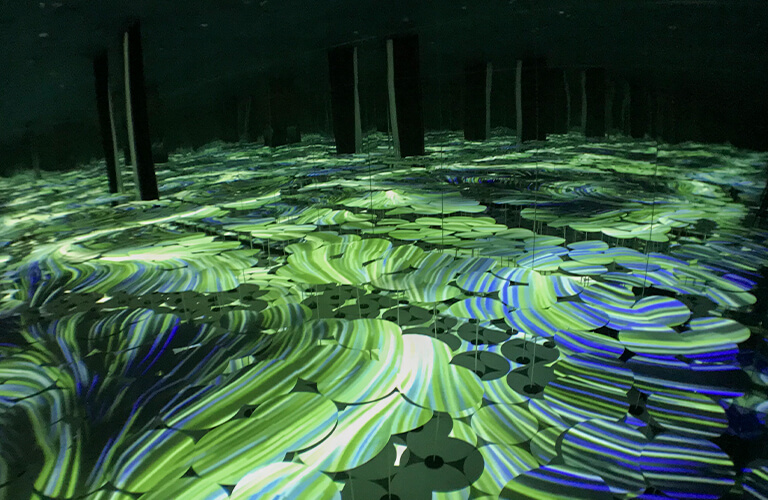 ����ɽ�������ƺ�������ɫС��