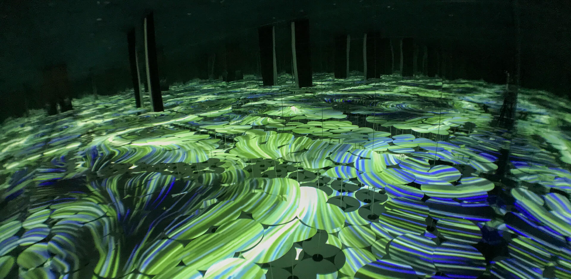 ���ֻ�С��