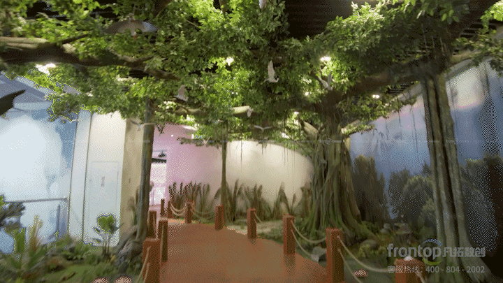 ɭ��������-׷�󿵽�,����һ������