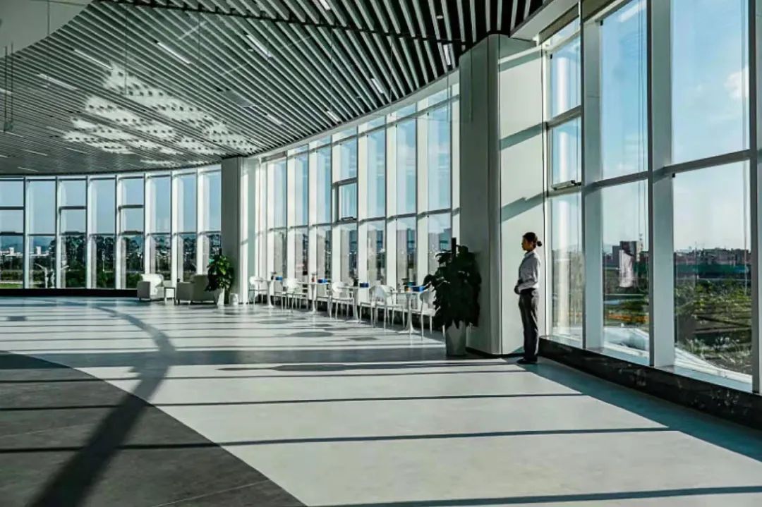 ɭ��������-׷�󿵽�,����һ������