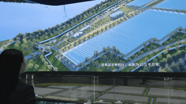 ɭ��������-׷�󿵽�,����һ������