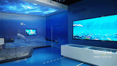 ɭ��������-׷�󿵽�,����һ������