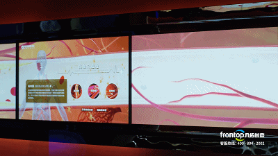 ɭ��������-׷�󿵽�,����һ������