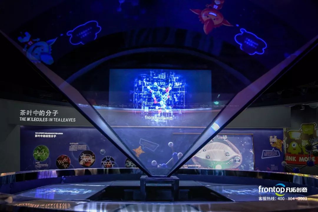 ɭ��������-׷�󿵽�,����һ������