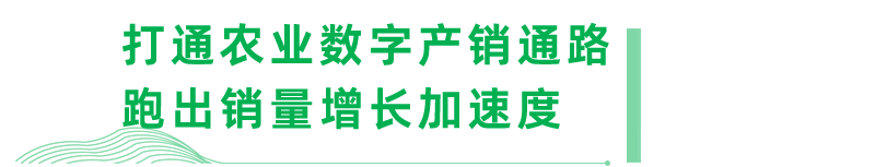 ɭ��������-׷�󿵽�,����һ������